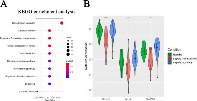 https://cdn.ncbi.nlm.nih.gov/pmc/blobs/4fea/11993633/db9c4cc08ebc/41598_2025_93685_Fig7_HTML.jpg
