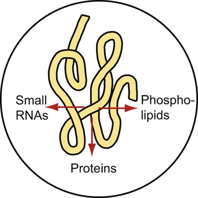 https://cdn.ncbi.nlm.nih.gov/pmc/blobs/4fea/5716430/fe91cc9acf6f/fx1.jpg