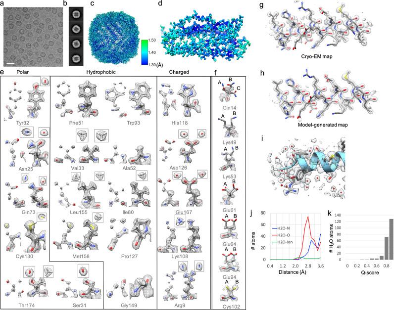 https://cdn.ncbi.nlm.nih.gov/pmc/blobs/4fec/7605492/49327e2f5376/41422_2020_432_Fig1_HTML.jpg
