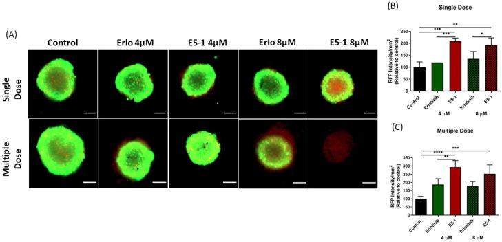 https://cdn.ncbi.nlm.nih.gov/pmc/blobs/4fed/10054254/0a64fcd4a5fd/pharmaceutics-15-00996-g009.jpg