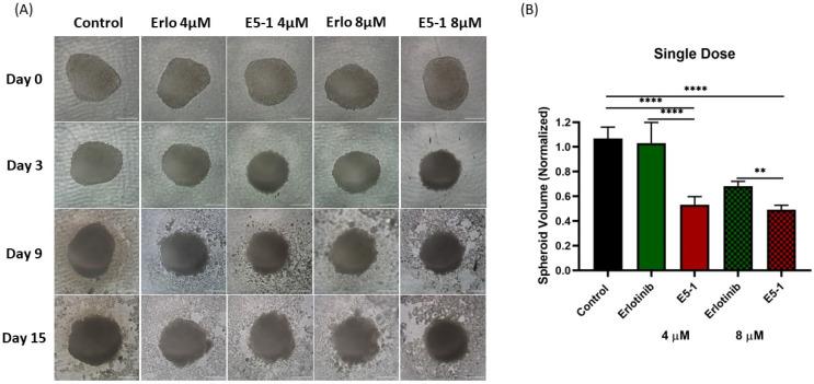 https://cdn.ncbi.nlm.nih.gov/pmc/blobs/4fed/10054254/970ba9cf1064/pharmaceutics-15-00996-g007.jpg