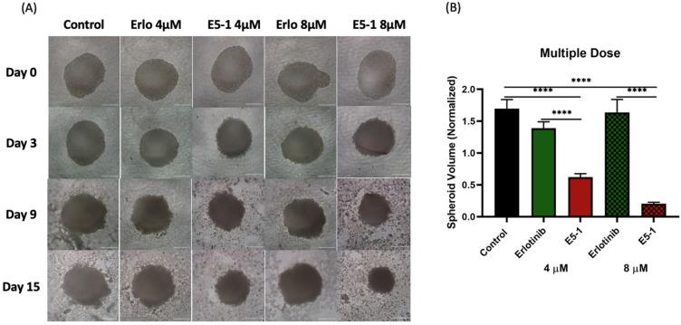https://cdn.ncbi.nlm.nih.gov/pmc/blobs/4fed/10054254/f09365d9654c/pharmaceutics-15-00996-g008.jpg