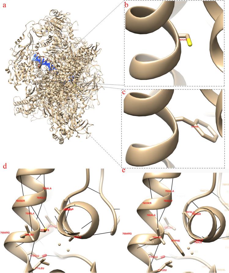 https://cdn.ncbi.nlm.nih.gov/pmc/blobs/4fed/10985069/fcb75bb46fb2/41598_2024_58452_Fig6_HTML.jpg