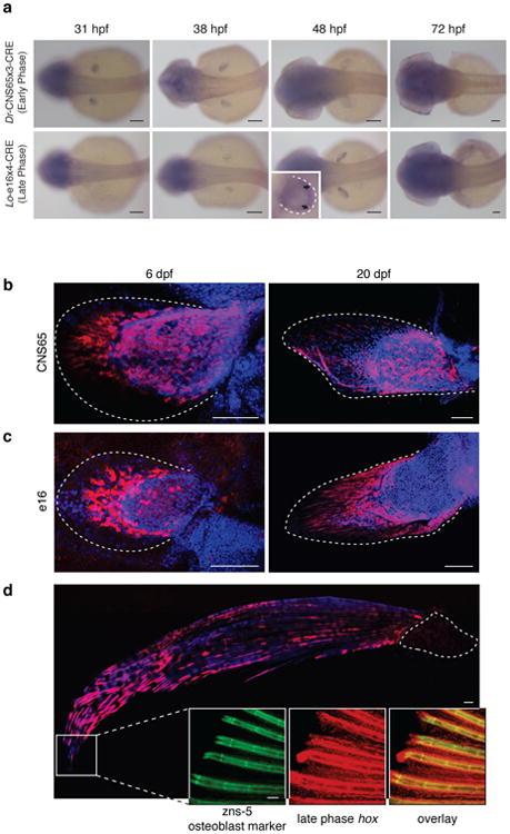 https://cdn.ncbi.nlm.nih.gov/pmc/blobs/4fed/5161576/764c21bb802c/nihms804903f8.jpg