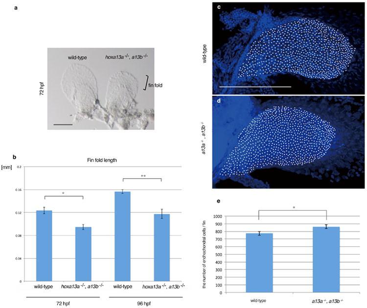 https://cdn.ncbi.nlm.nih.gov/pmc/blobs/4fed/5161576/d9f3b600f386/nihms804903f5.jpg