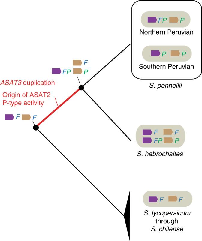 https://cdn.ncbi.nlm.nih.gov/pmc/blobs/4fee/5727100/0f5ea899b569/41467_2017_2045_Fig7_HTML.jpg