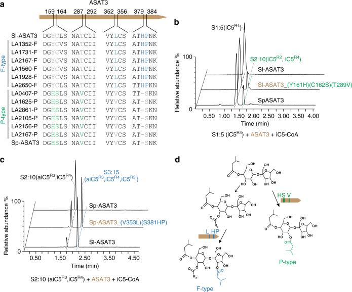 https://cdn.ncbi.nlm.nih.gov/pmc/blobs/4fee/5727100/4b633be09f02/41467_2017_2045_Fig5_HTML.jpg