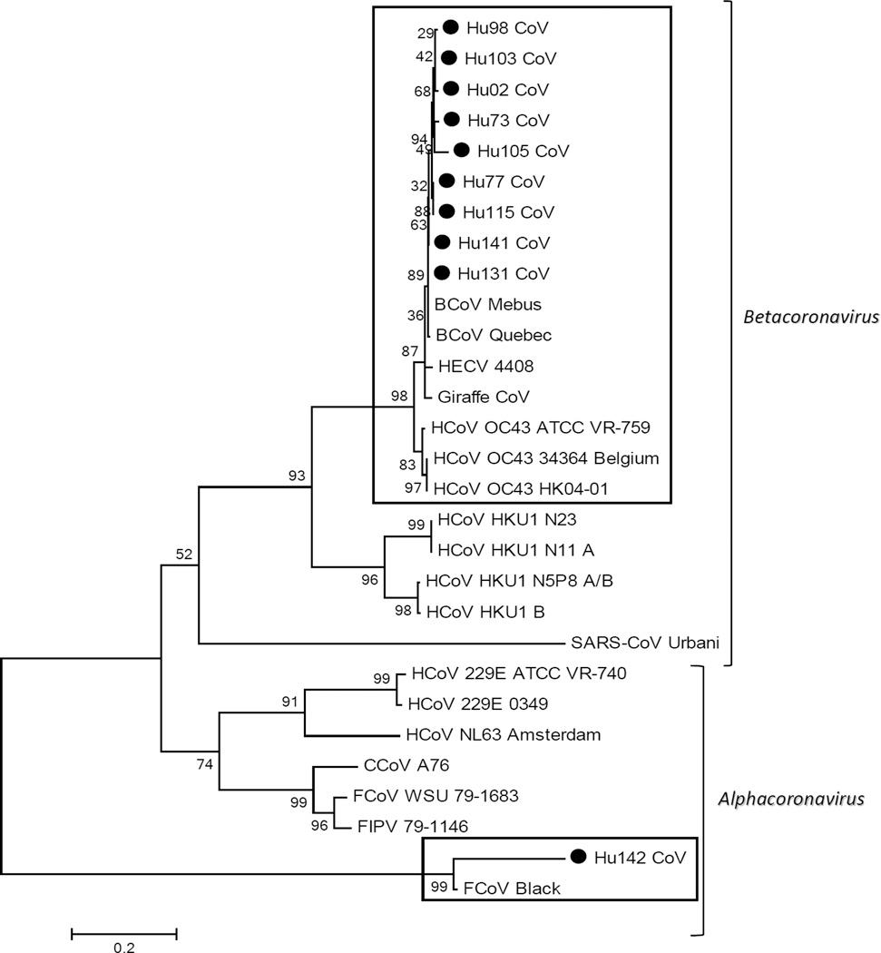 https://cdn.ncbi.nlm.nih.gov/pmc/blobs/4fef/5004774/306f5165a9b8/nihms808418f2.jpg