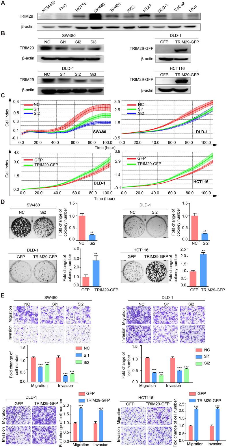 https://cdn.ncbi.nlm.nih.gov/pmc/blobs/4ff0/7950264/0d2dd4070210/aging-13-202414-g003.jpg