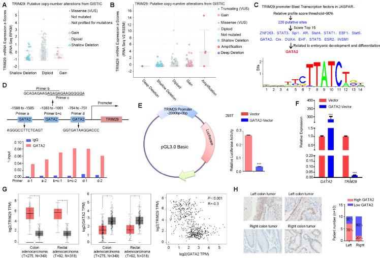 https://cdn.ncbi.nlm.nih.gov/pmc/blobs/4ff0/7950264/51e2a50a30fb/aging-13-202414-g002.jpg