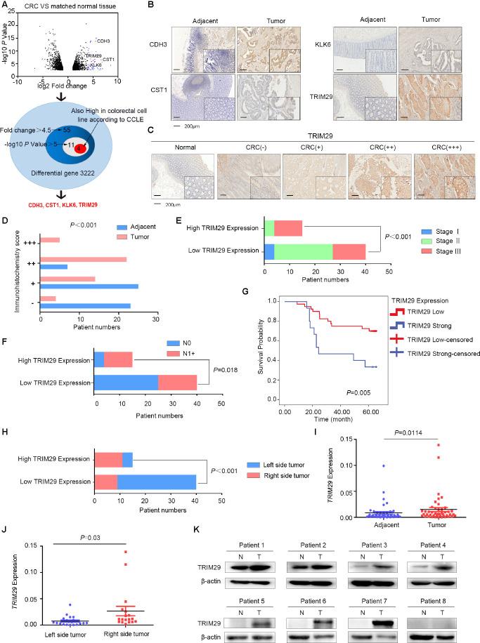 https://cdn.ncbi.nlm.nih.gov/pmc/blobs/4ff0/7950264/8f3dadf685b8/aging-13-202414-g001.jpg
