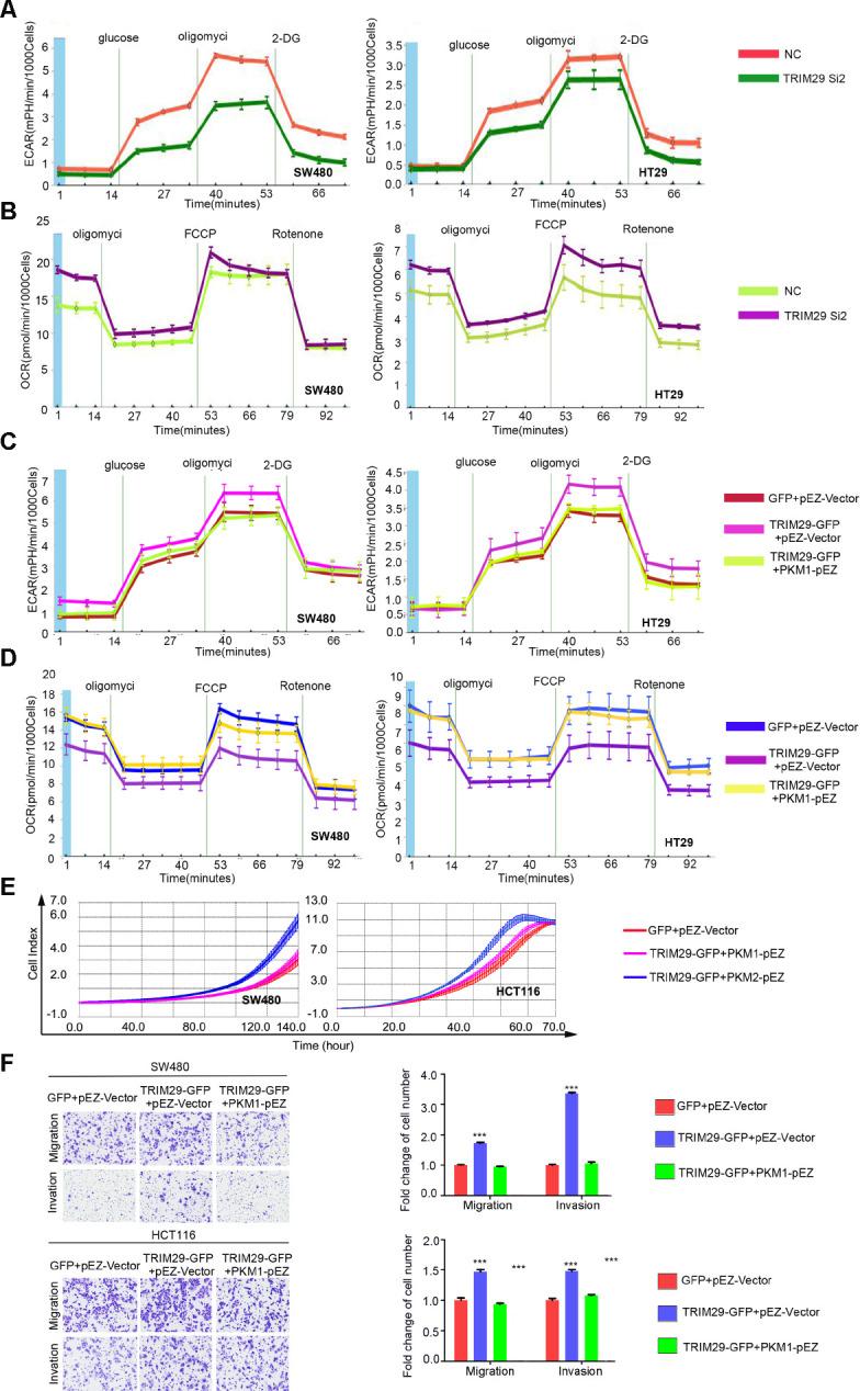 https://cdn.ncbi.nlm.nih.gov/pmc/blobs/4ff0/7950264/ad7b86ba49ea/aging-13-202414-g006.jpg