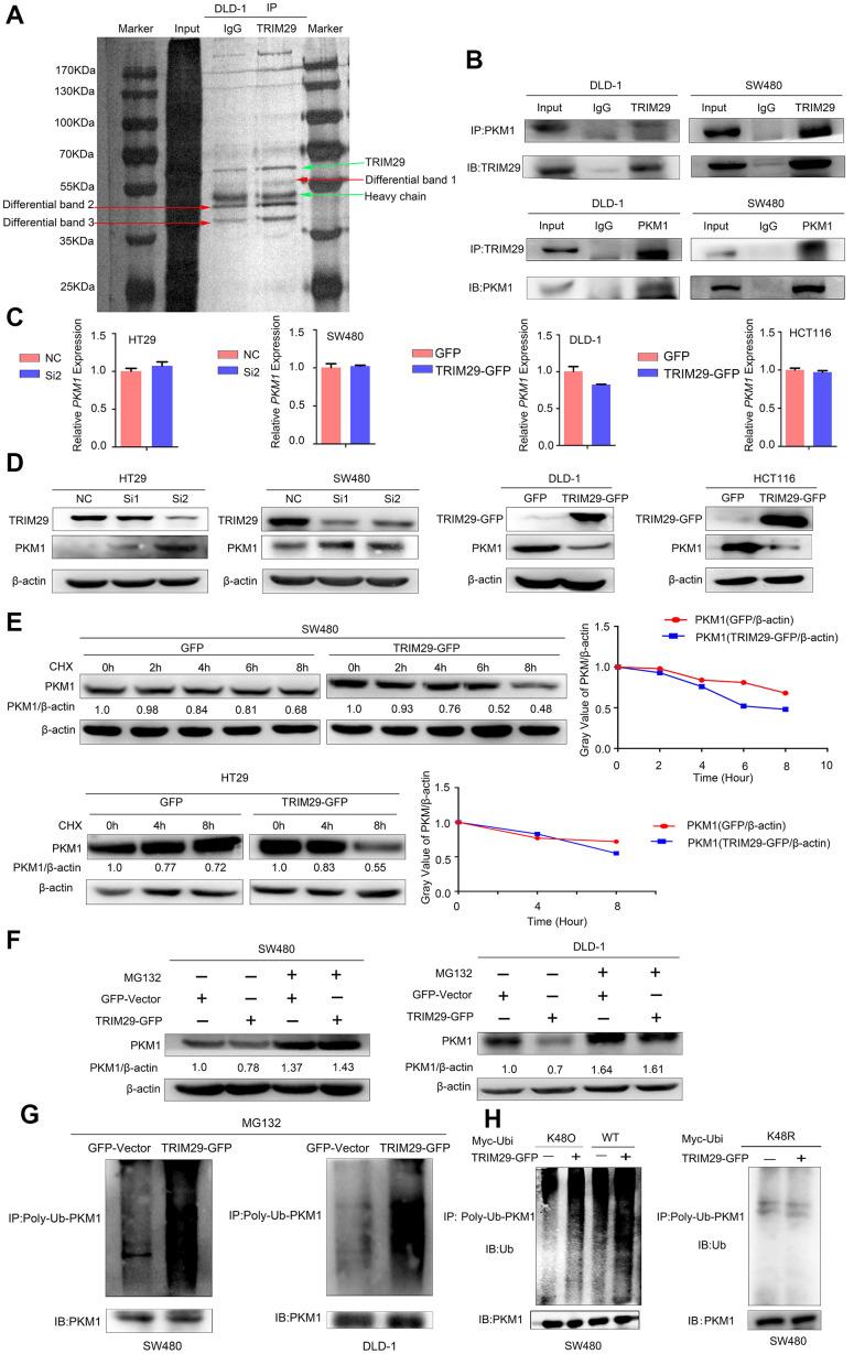 https://cdn.ncbi.nlm.nih.gov/pmc/blobs/4ff0/7950264/f39a72b45ad7/aging-13-202414-g005.jpg