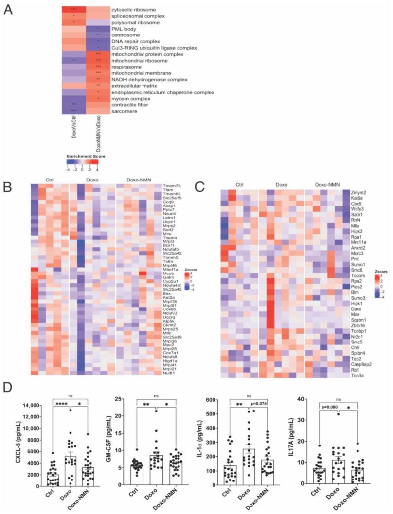 https://cdn.ncbi.nlm.nih.gov/pmc/blobs/4ff1/9818647/5d12d5495f10/cells-12-00108-g004.jpg