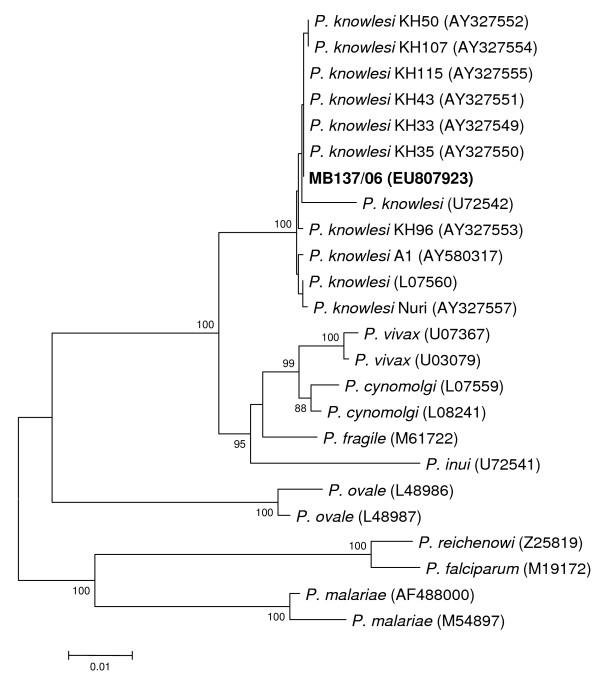 https://cdn.ncbi.nlm.nih.gov/pmc/blobs/4ff6/2634766/6603280d9a64/1475-2875-8-15-2.jpg