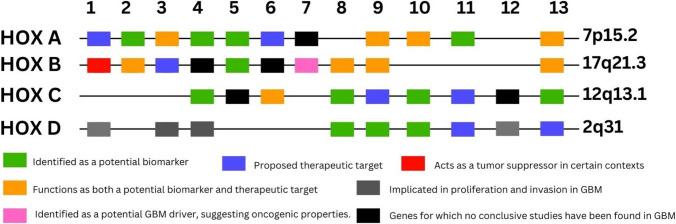 https://cdn.ncbi.nlm.nih.gov/pmc/blobs/4ff8/12092875/398fa09ae9d0/12672_2025_2684_Fig1_HTML.jpg