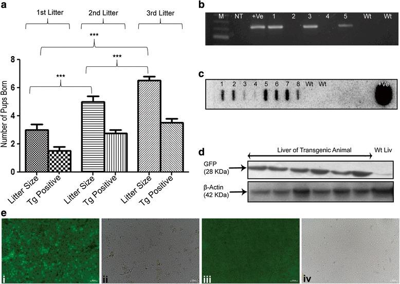 https://cdn.ncbi.nlm.nih.gov/pmc/blobs/4ff9/5032248/6f42d949eaa2/13287_2016_405_Fig5_HTML.jpg