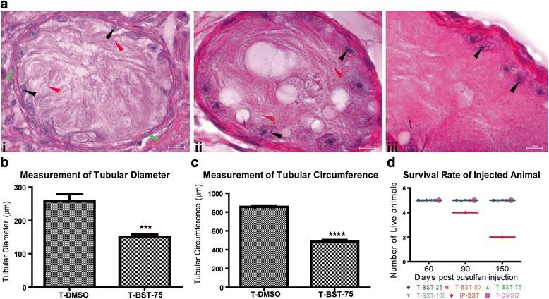 https://cdn.ncbi.nlm.nih.gov/pmc/blobs/4ff9/5032248/89b1d94ea5b9/13287_2016_405_Fig2_HTML.jpg