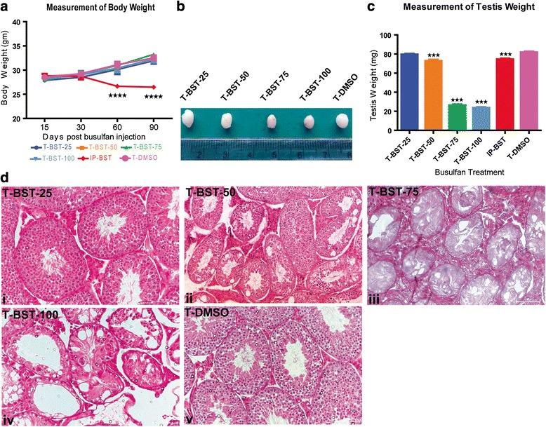 https://cdn.ncbi.nlm.nih.gov/pmc/blobs/4ff9/5032248/a71c760724d5/13287_2016_405_Fig1_HTML.jpg