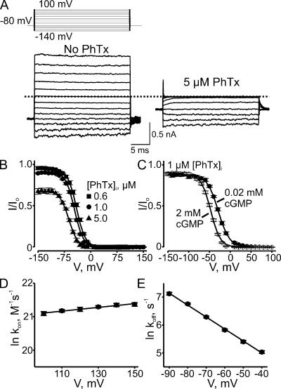 https://cdn.ncbi.nlm.nih.gov/pmc/blobs/4ffb/2812505/1580d3d28294/JGP_200910324_LW_Fig6.jpg