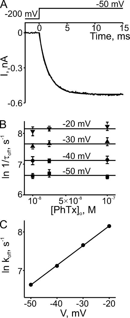 https://cdn.ncbi.nlm.nih.gov/pmc/blobs/4ffb/2812505/2fdee1441553/JGP_200910324_LW_Fig4.jpg