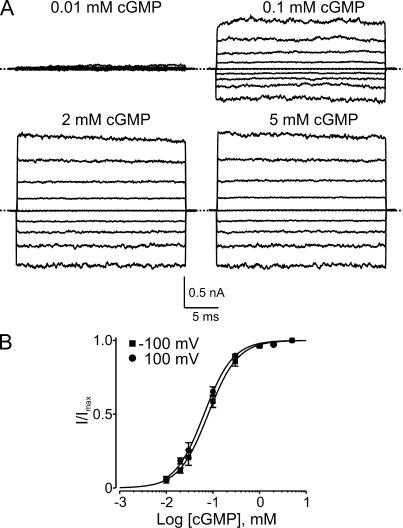 https://cdn.ncbi.nlm.nih.gov/pmc/blobs/4ffb/2812505/963bc4b6cc52/JGP_200910324_LW_Fig1.jpg