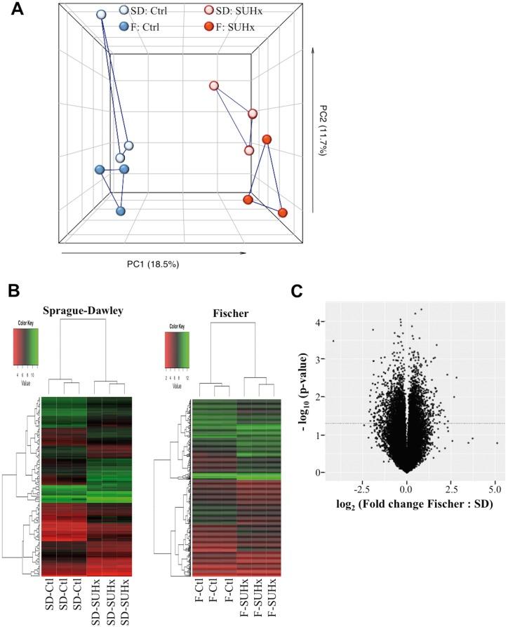 https://cdn.ncbi.nlm.nih.gov/pmc/blobs/4ffb/6432055/d0cf94c65728/cvy258f5.jpg