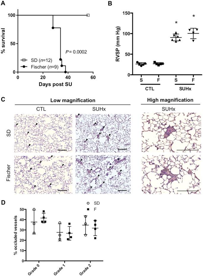 https://cdn.ncbi.nlm.nih.gov/pmc/blobs/4ffb/6432055/ec79669f6b29/cvy258f1.jpg