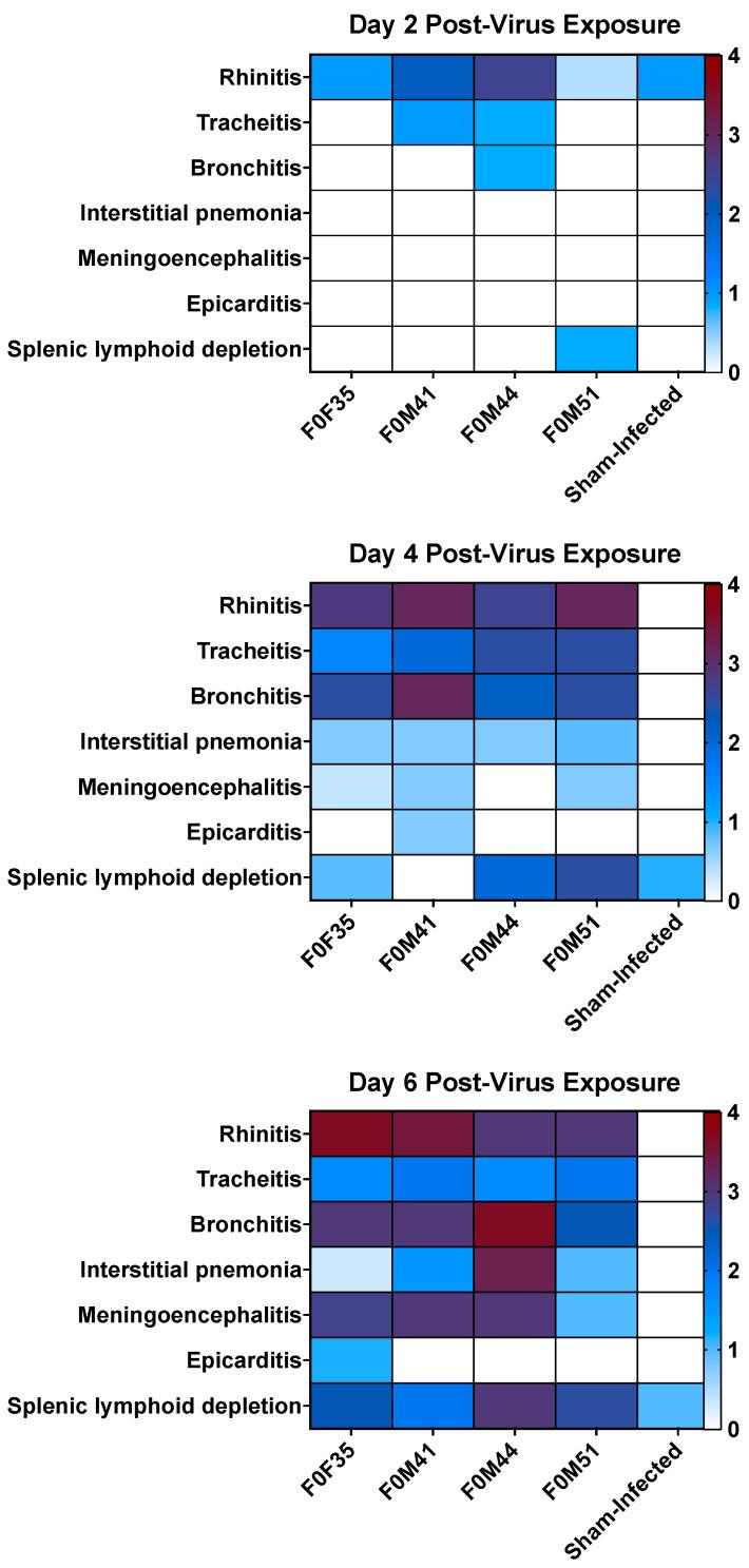 https://cdn.ncbi.nlm.nih.gov/pmc/blobs/4ffc/11512293/23e3b77dbc5f/viruses-16-01625-g007.jpg
