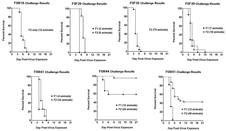 https://cdn.ncbi.nlm.nih.gov/pmc/blobs/4ffc/11512293/507e4ddf38c0/viruses-16-01625-g002.jpg