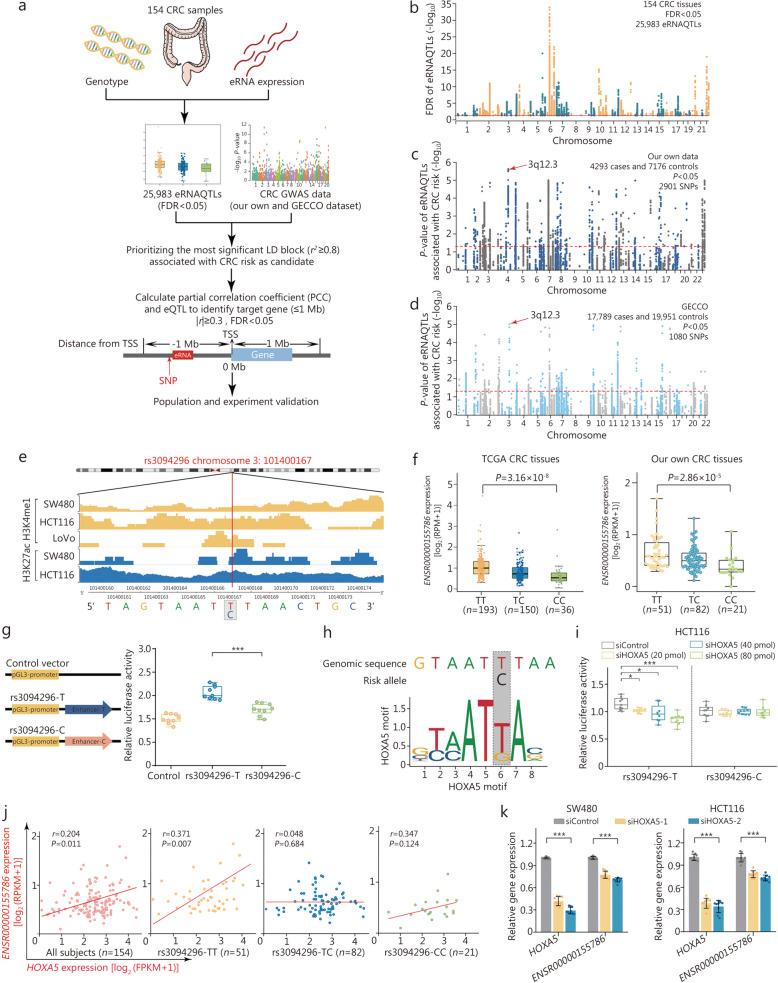 https://cdn.ncbi.nlm.nih.gov/pmc/blobs/4fff/11165858/1fef4d30bd5e/40779_2024_539_Fig5_HTML.jpg