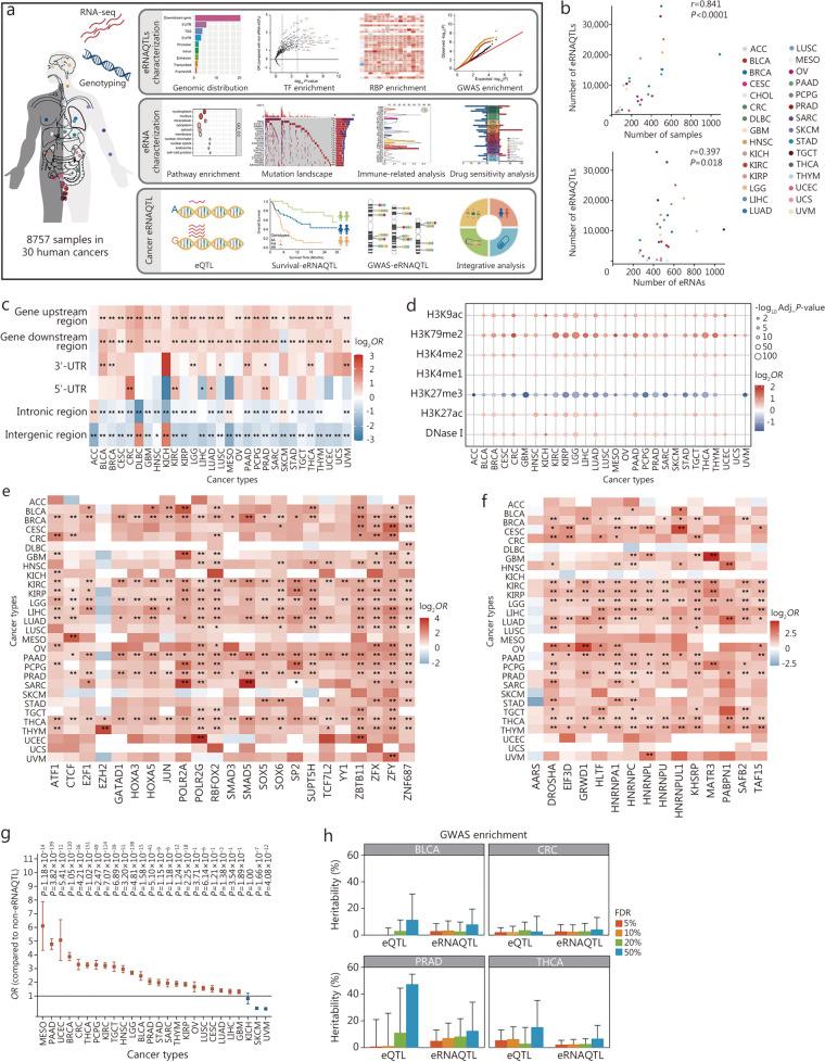https://cdn.ncbi.nlm.nih.gov/pmc/blobs/4fff/11165858/a2fedf285b5d/40779_2024_539_Fig1_HTML.jpg