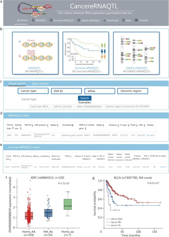 https://cdn.ncbi.nlm.nih.gov/pmc/blobs/4fff/11165858/ad467b03b30b/40779_2024_539_Fig7_HTML.jpg