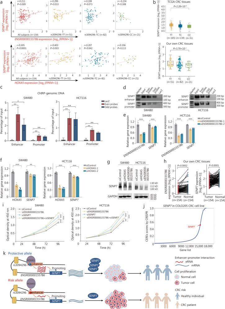 https://cdn.ncbi.nlm.nih.gov/pmc/blobs/4fff/11165858/c4a9b6d26f85/40779_2024_539_Fig6_HTML.jpg