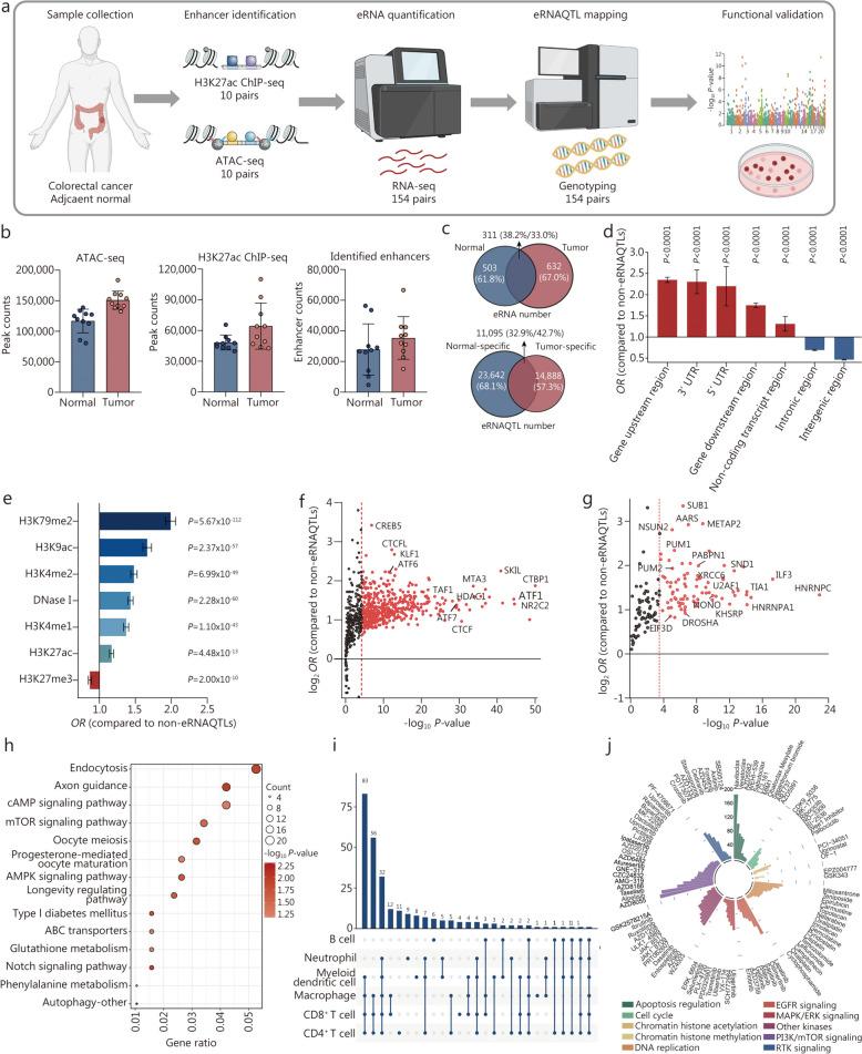 https://cdn.ncbi.nlm.nih.gov/pmc/blobs/4fff/11165858/f9dc027e5c42/40779_2024_539_Fig3_HTML.jpg