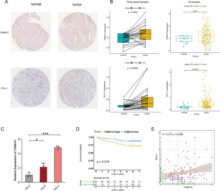 https://cdn.ncbi.nlm.nih.gov/pmc/blobs/4fff/11410638/5e31ffbe8283/fimmu-15-1457691-g009.jpg