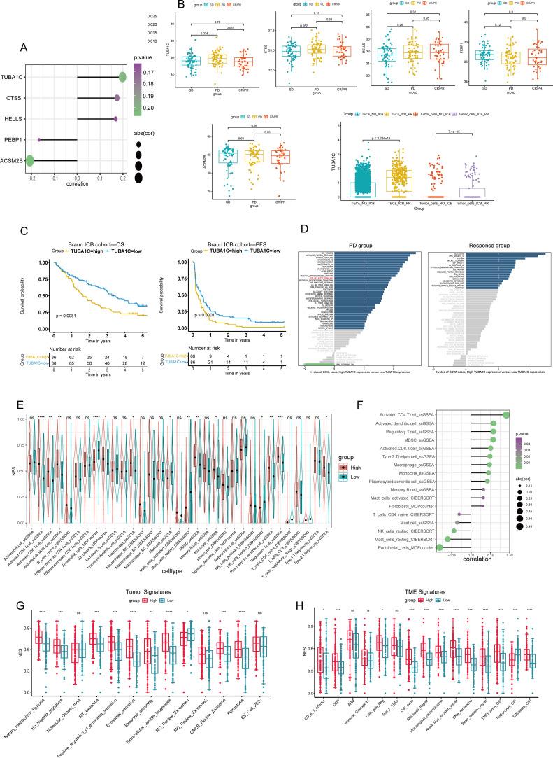https://cdn.ncbi.nlm.nih.gov/pmc/blobs/4fff/11410638/82789c2aa4f7/fimmu-15-1457691-g003.jpg
