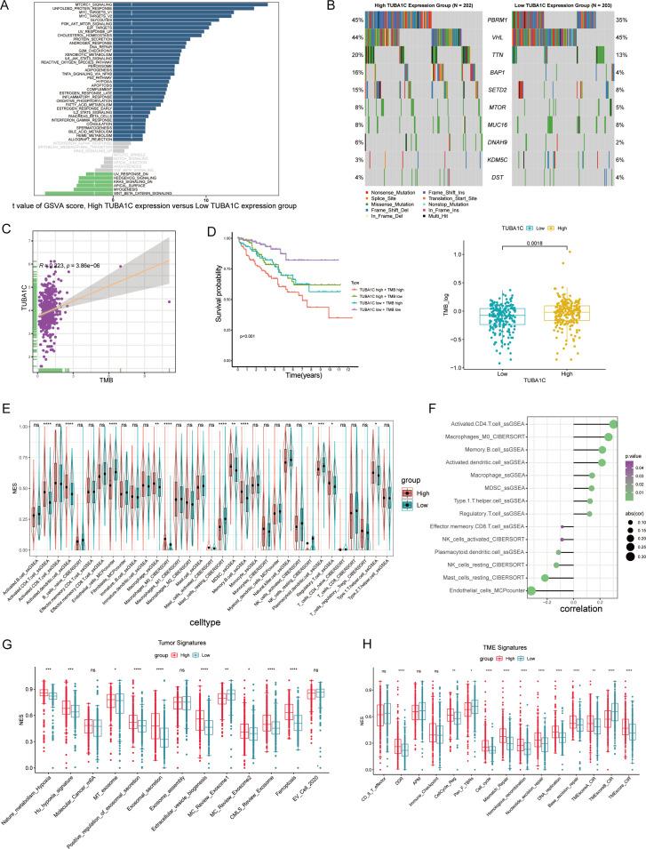 https://cdn.ncbi.nlm.nih.gov/pmc/blobs/4fff/11410638/b15af8d5eeb0/fimmu-15-1457691-g006.jpg