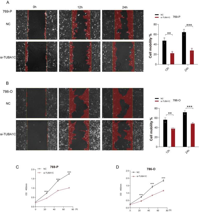https://cdn.ncbi.nlm.nih.gov/pmc/blobs/4fff/11410638/ba54ae4e5e3b/fimmu-15-1457691-g010.jpg
