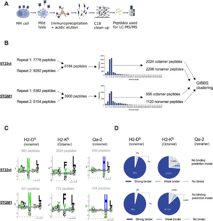 https://cdn.ncbi.nlm.nih.gov/pmc/blobs/4fff/12049997/b367cfc64a38/jitc-13-4-g004.jpg