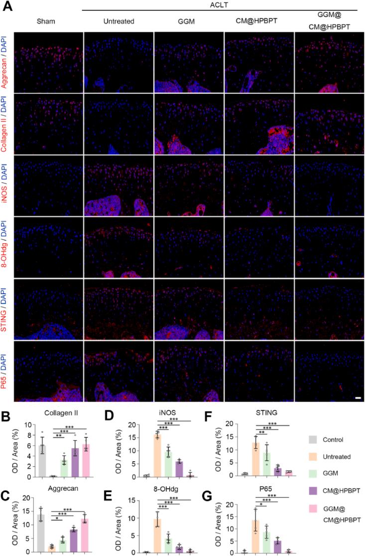 https://cdn.ncbi.nlm.nih.gov/pmc/blobs/5000/12032948/033ce8d03e49/gr8.jpg