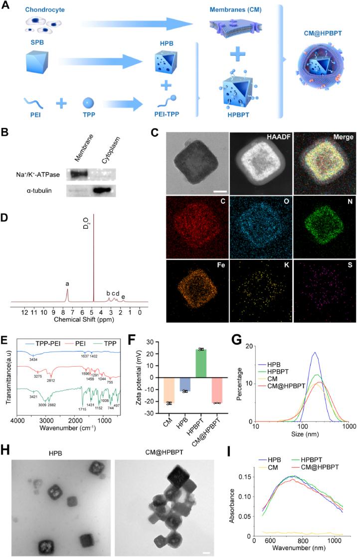 https://cdn.ncbi.nlm.nih.gov/pmc/blobs/5000/12032948/35b8156c2d66/gr1.jpg
