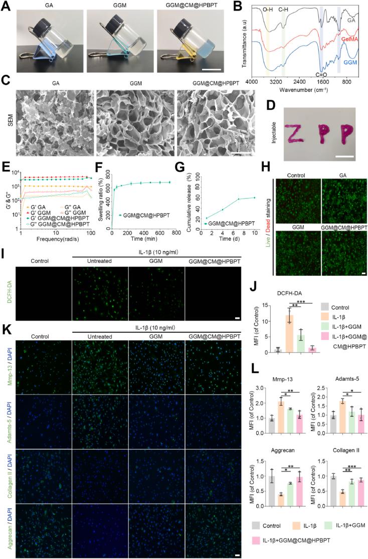 https://cdn.ncbi.nlm.nih.gov/pmc/blobs/5000/12032948/53803495922b/gr6.jpg
