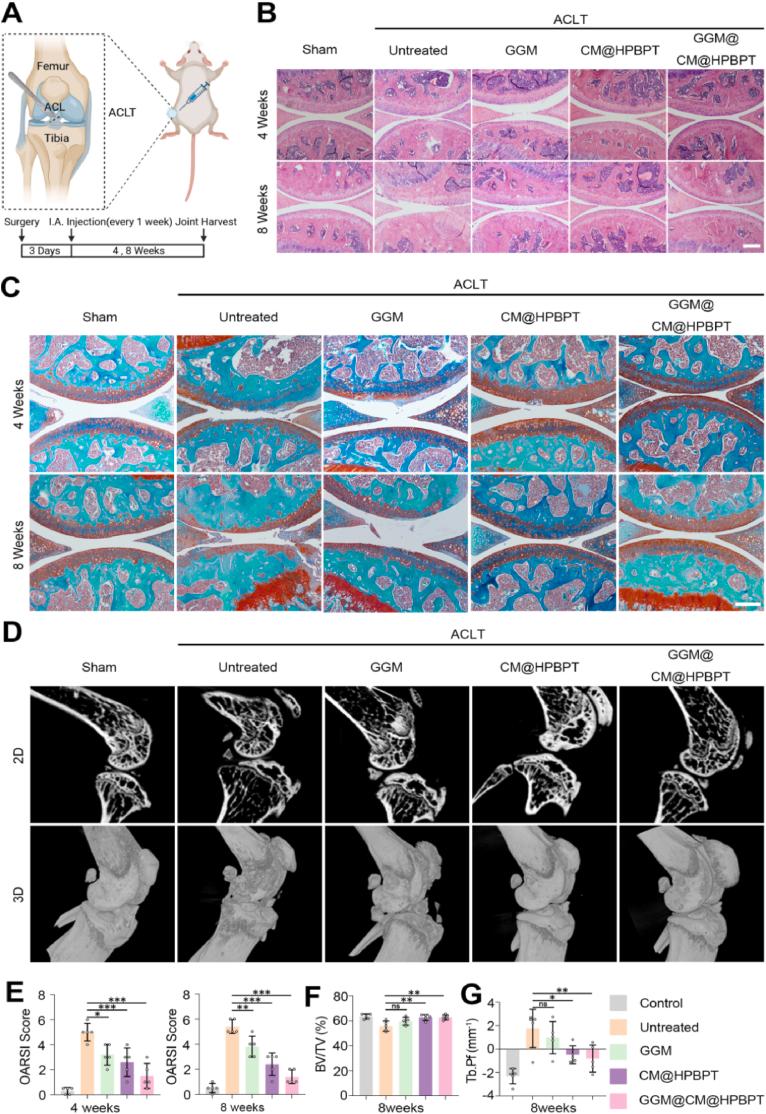 https://cdn.ncbi.nlm.nih.gov/pmc/blobs/5000/12032948/86d311315bbf/gr7.jpg