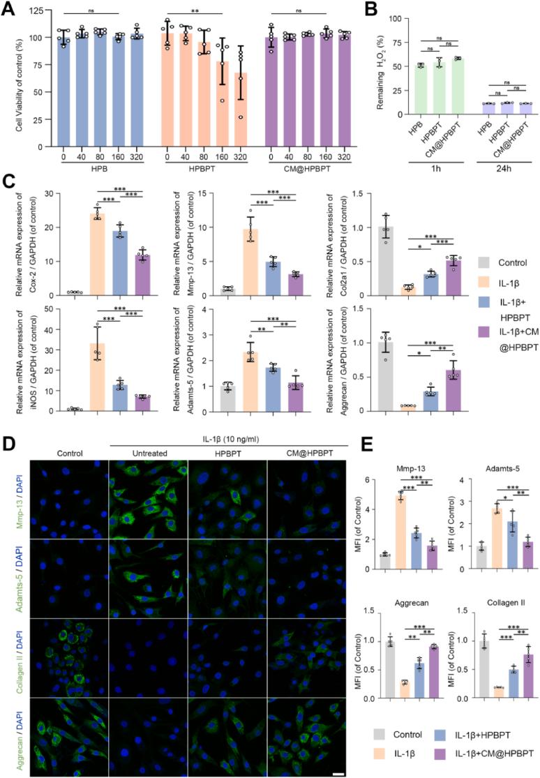 https://cdn.ncbi.nlm.nih.gov/pmc/blobs/5000/12032948/c4482f484df4/gr3.jpg