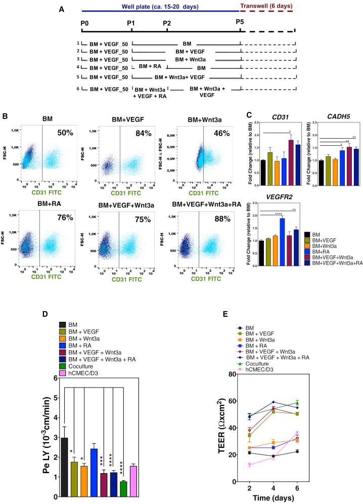https://cdn.ncbi.nlm.nih.gov/pmc/blobs/5000/6829749/55bb26e09d1f/gr2.jpg