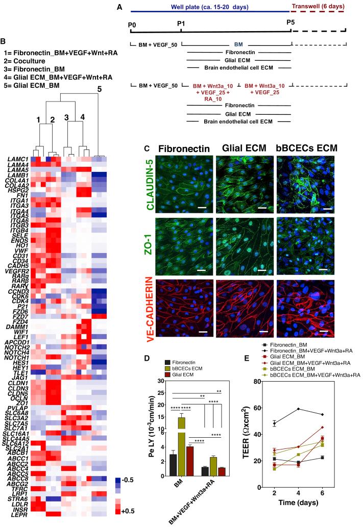 https://cdn.ncbi.nlm.nih.gov/pmc/blobs/5000/6829749/8fb3982a4e08/gr3.jpg