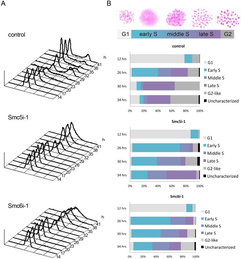 https://cdn.ncbi.nlm.nih.gov/pmc/blobs/5002/3890350/2ca67d347eff/302fig7.jpg