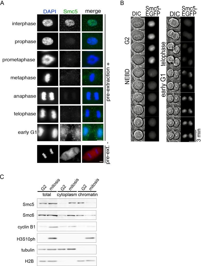 https://cdn.ncbi.nlm.nih.gov/pmc/blobs/5002/3890350/339dbaaeffe1/302fig1.jpg