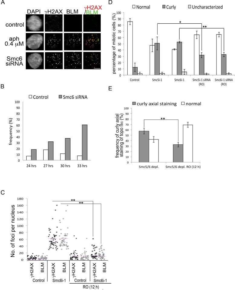 https://cdn.ncbi.nlm.nih.gov/pmc/blobs/5002/3890350/56a517b0c8ef/302fig8.jpg